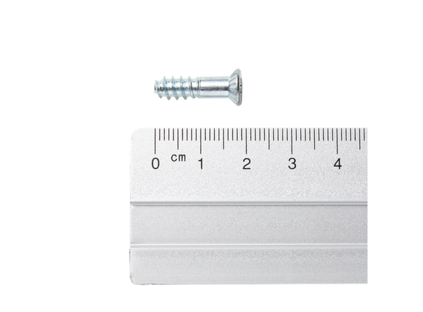 Dynafit Screw 19mm Torx 20 50 pk 