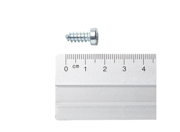 Dynafit Screw 16,5mm Torx 20 50pk 