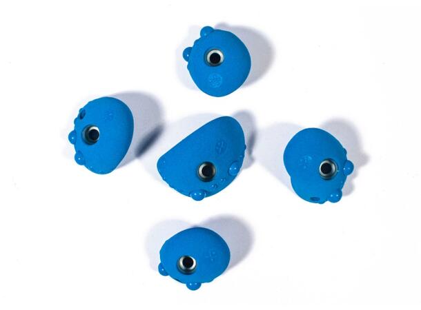 Cruxies Rotznas mint L (5 tak)