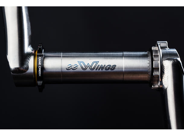 Cane Creek eeWings krankarmer, 170mm 170mm 
