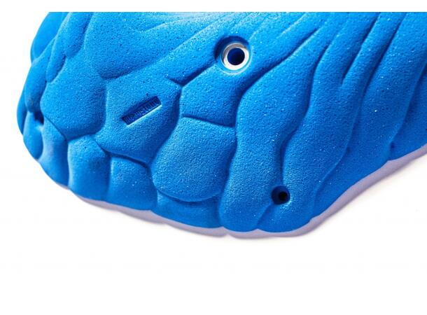 Bleaustone Font Mondo Pockets blue Font Range (2 grep) 