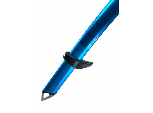 Blue Ice Bluebird 60cm